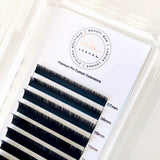 Lash Extension Trays - Lala Lashes Charlotte